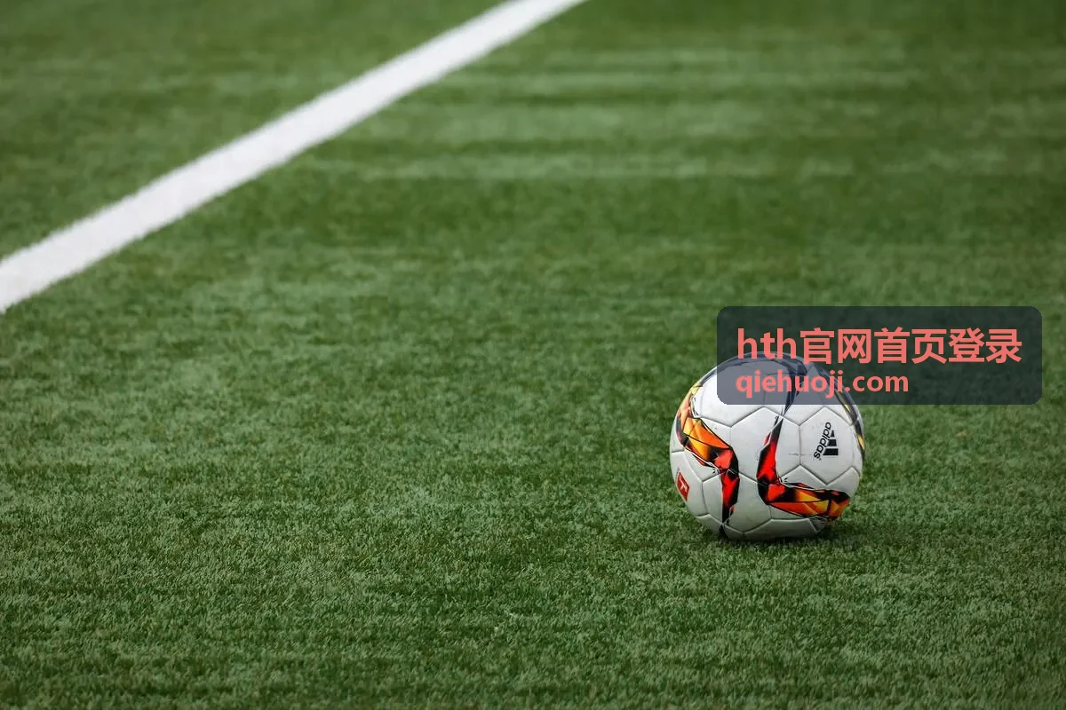 hth官网首页登录 验证码校验提示示意