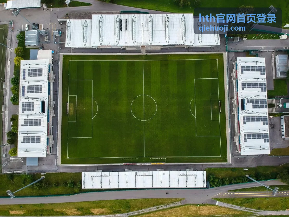hth官网首页登录活动规则条款配图