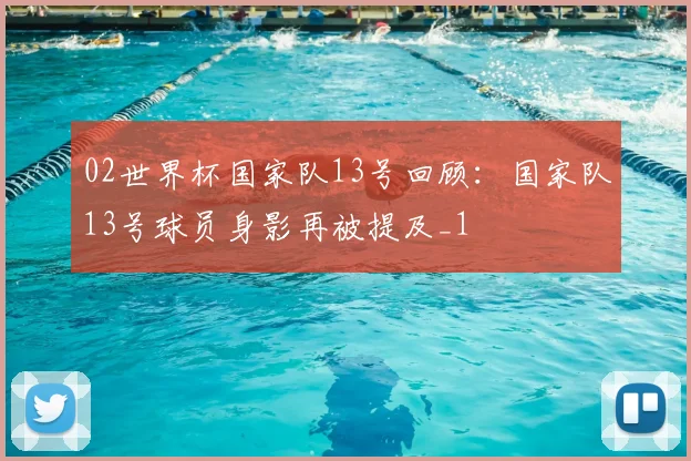 02世界杯国家队13号回顾:国家队13号球员身影再被提及_1
