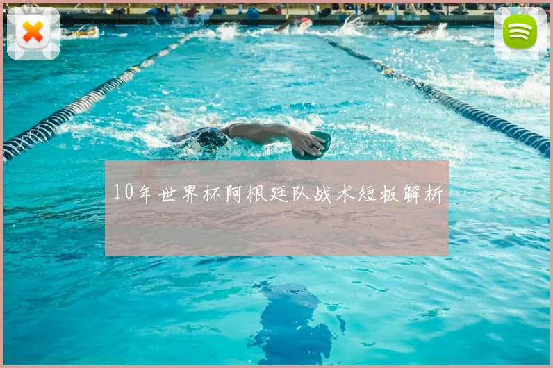 10年世界杯阿根廷队战术短板解析