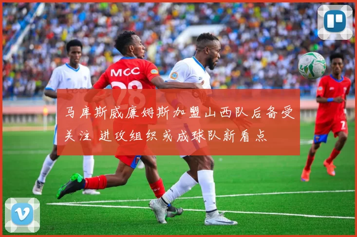 马库斯威廉姆斯加盟山西队后备受关注 进攻组织或成球队新看点